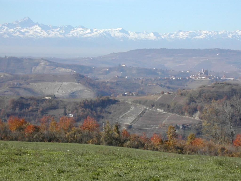 希尼奥 Cascina Il Ginepro旅馆 外观 照片